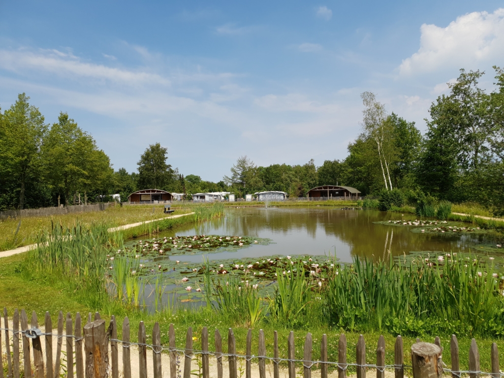 Een tour langs verschillende vakantieparken: Parkendag van Booking Boosters